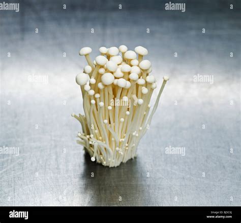 A Cluster Of White Mushrooms Stock Photo Alamy