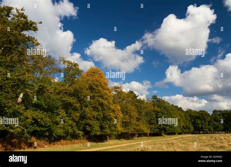 Early Autumn With Cloudscape Stock Photo Alamy