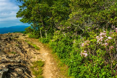 14 Best Things To Do In Shenandoah National Park Southern Trippers
