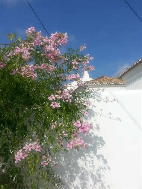 Großes angebot an der algarve, lissabon und in ganz portugal. House in the Algarve | Casas