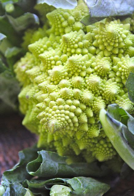 It quickly became our favorite between any of the broccoli and. Market Manila - Cavolo Broccolo Romanesco / Romanesco ...