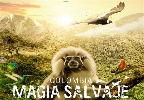 Colombia Magia Salvaje Llegó A España Eje21