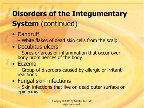 Ppt Chapter 9 Integumentary System Powerpoint Presentation Free