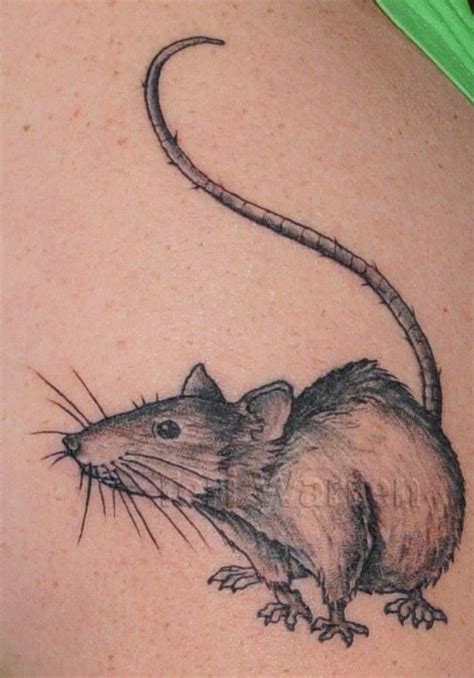 Best 25 Rat Tattoo Ideas On Pinterest Rat Ratatouille