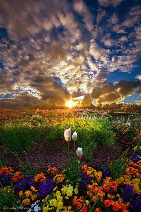 On Earth As It Is In Heaven Horizons Phil Koch Nature Photography