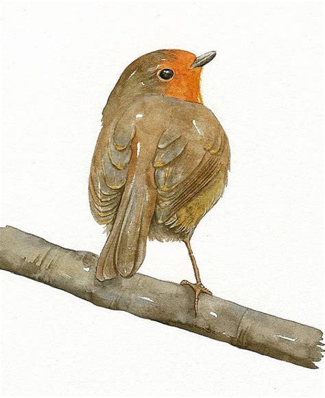 Robin Bird Art Print Limited Edition Watercolor By Lorisworld 1000