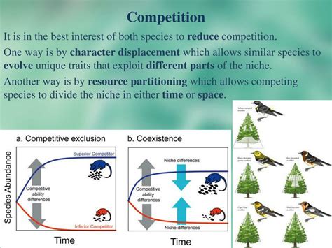 PPT Section 20 1 Species Interactions PowerPoint Presentation Free