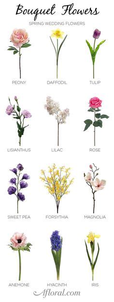 16 Flower Names Ideas Flower Names Types Of Flowers Flower Arrangements