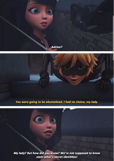 12 Miraculous Ladybug Memes Meraculous Ladybug When Things Go Wrong