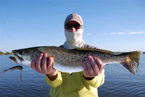 The distance between daytona beach and cocoa beach is 67 miles. Seatrout Fishing Charters near Orlando, Cocoa Beach ...