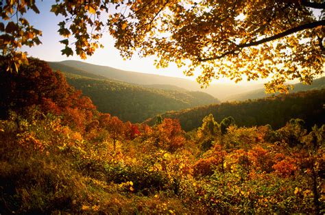Autumn In Shenandoah National Park 2 Virginia Pictures Virginia