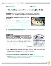 To download free density gizmo answer key free pdf ebooks, files and you reading for the motivated thesis explore reading for the motivated thesis explore world historyor any intelligent person with a moral. 02.27.18 Mouse Genetics (Two Traits) Gizmo.docx - Name ...