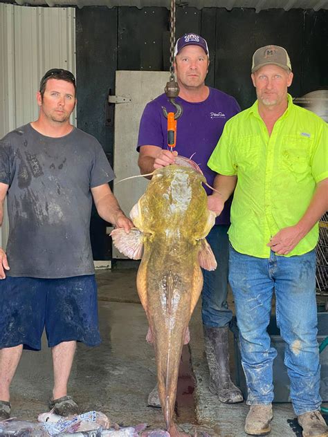 Sabine River Catfish Louisiana Sportsman