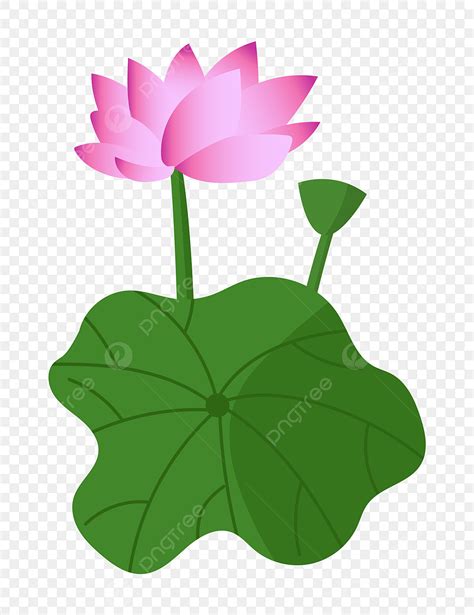 Lotus Leaf Clipart Vector Chinese Style Lotus Flower Lotus Leaf