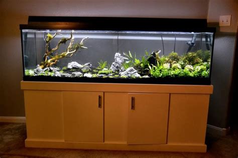 125 Gallon Aquarium Tank Rin Aquarium Fish