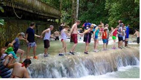 Dunn S River Falls Day Tour Getyourguide