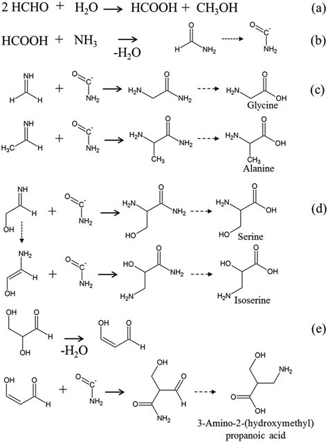 Reaction Scheme Producing Amino Acids Glycine Alanine And Hydroxy