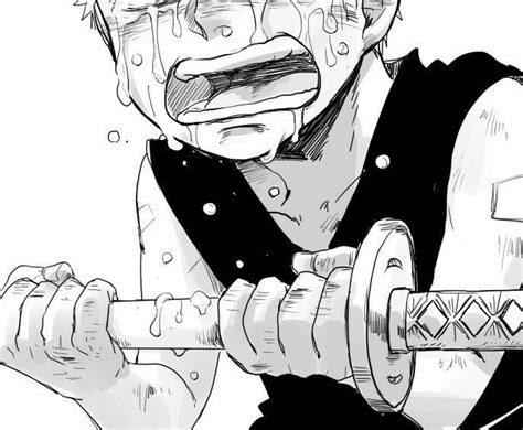 One Piece Zoro Crying Fanfic