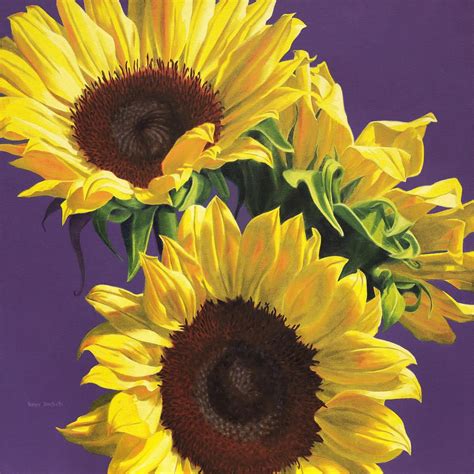 Sunflowers On Purple By Nance Danforth Floral Oil Paintings Flower