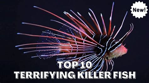 Top Terrifying Killer Fish Youtube