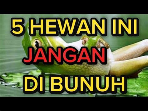 INILAH HEWAN DILARANG DIBUNUH DALAM ISLAM YouTube