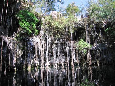 Cenote Yokdzonot 2021 Ce Quil Faut Savoir Pour Votre Visite 2876 Hot