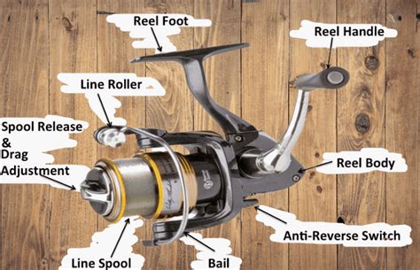 Parts Of A Spinning Reel With Diagram Beginners Guide 2022