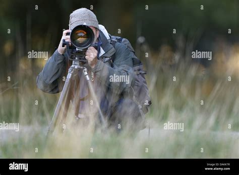 Nature Photographer In Action Belgium Stock Photo