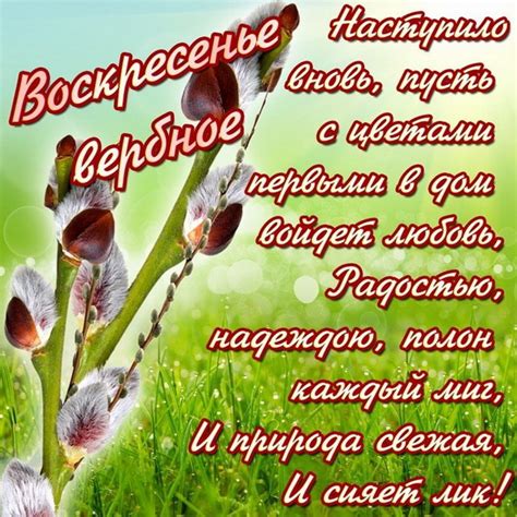 Бесплатно для коммерческого использования ✓ указание авторства не требуется ✓. Вербное Воскресенье: картинки, открытки