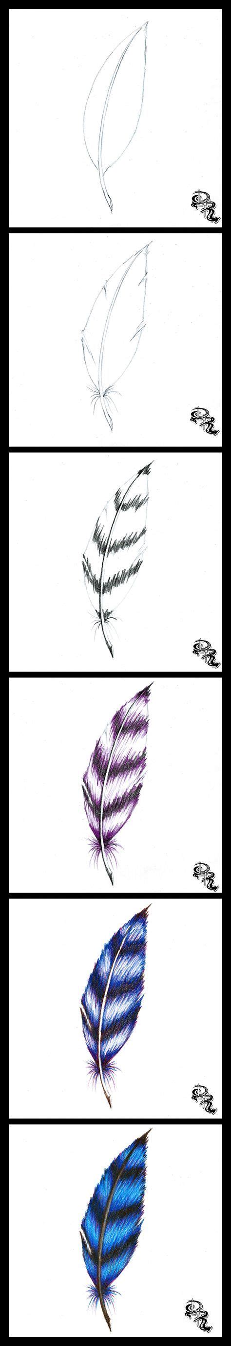 Drawing hair is hard work. How to Draw a Feather With Colored Pencils | Feather ...