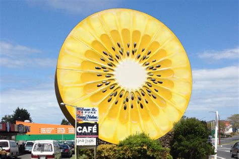 Go further for your pets. SunLive - Kiwifruit craziness in Te Puke - The Bay's News ...