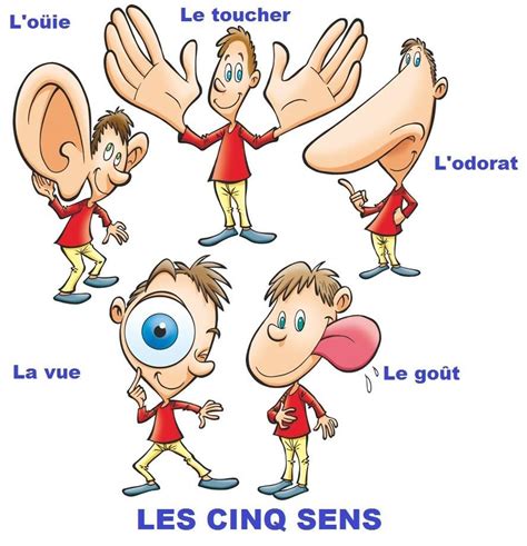 Les 5 Sens 5 Sens Maternelle 5 Sens Fiches P Dagogiques Gambaran