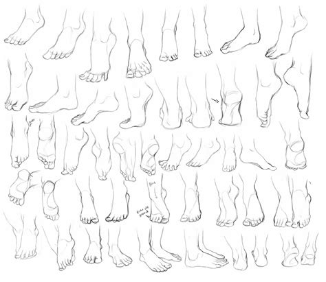 800 x 1166 jpeg 164 кб. Feet Study by Naviira on DeviantArt