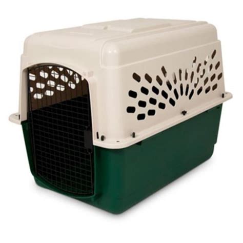 Plastic Dog Crate Kennel Off White And Green 25 To 30 Lbs Walmart