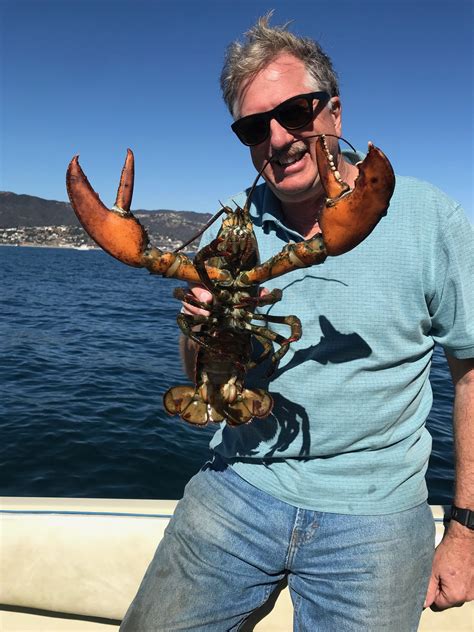 Read reviews from the lobster at 1602 ocean ave in downtown santa monica 90401 from trusted santa monica restaurant reviewers. Diver finds Maine lobster off Southern California waters ...