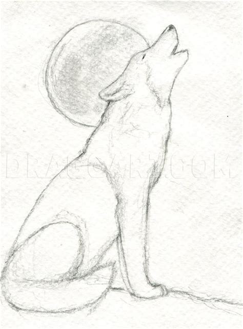 How To Draw A Howling Wolf Step By Step Drawing Guide By