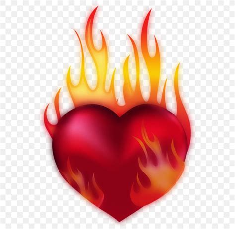 Heart Fire Clip Art Png 569x800px Heart Combustion Fire Flame