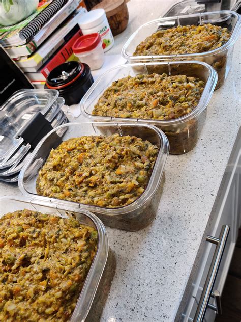 Homemade Vegan Dog Food Mrsplantintexas