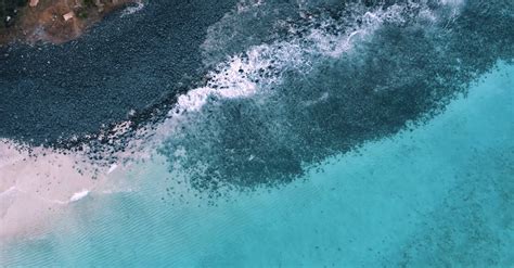 Top View Of A Beach With Black Volcanic Rocks And Turquoise Water Free