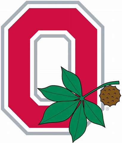 Ohio State Buckeyes Logos Buckeye Leaf Sports