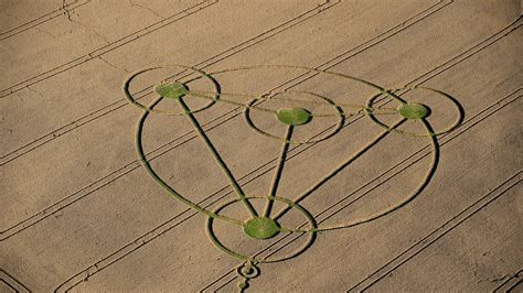 Crop Circles Theyre Real And Contain Hidden Messages Scientist Says