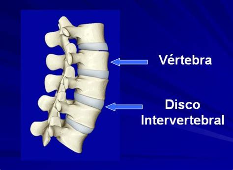 Dr Pablo Blass Valverde A Coluna Vertebral