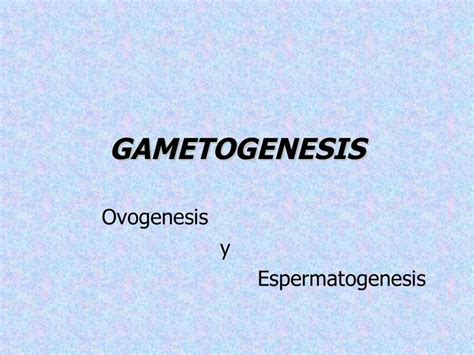 Gametogénesis Ovogénesis Y Espermatogénesis Rocio Udocz