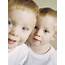 Identical Twin Boys  Stock Image P900/0045 Science Photo Library