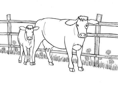 Get This Realistic Cow Animal Coloring Pages Cow And Her