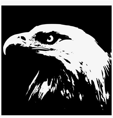 Gambar sketsa kepala burung elang. Sketsa Gambar Elang Hitam Putih - Contoh Sketsa Gambar