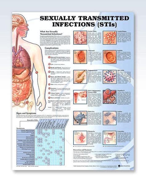 Sexually Transmitted Infections Chart X Nursing Students Best