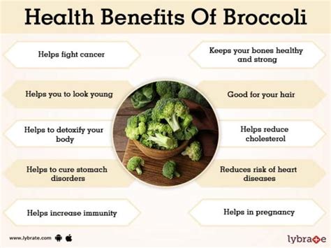 The Best Broccoli Health Benefits Best Round Up Recipe Collections