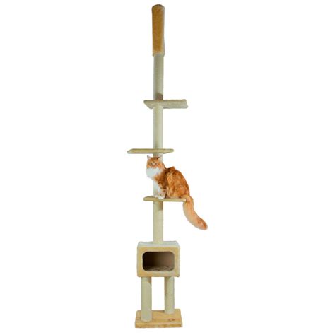 Indoor cat playground providing feline a safe place to rest, exercise and play. Trixie Santander Playground Cat Tree - Floor ... | BaxterBoo