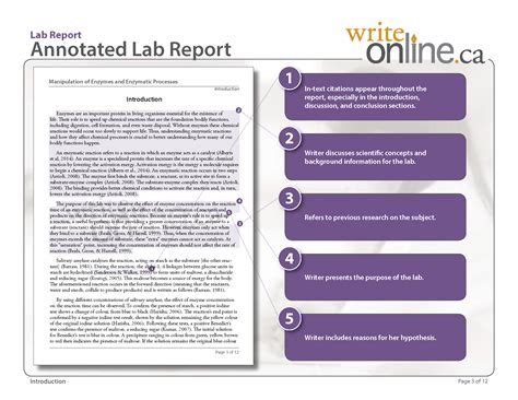 A component of summary of the findings is to provide a discussion for each of the findings, using anchor verbiage that justifies rather than distorts the intent of the findings. 😂 How to write conclusion in lab report. How to Write a ...